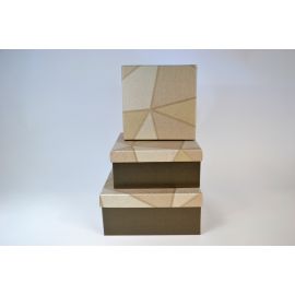 ELEGANTNA DARILNA ŠKATLA "ZLATORJAVA ELEGANCA", 21X21X9 CM