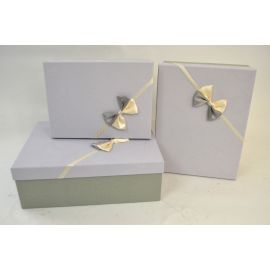 ELEGANTNA DARILNA ŠKATLA S PENTLJO, 27X20X9 CM